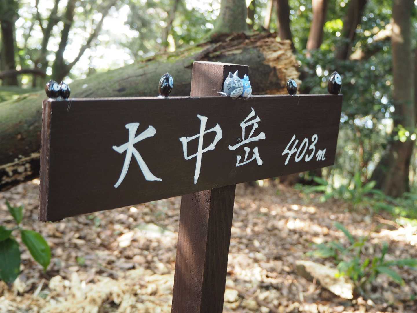 標識設置！