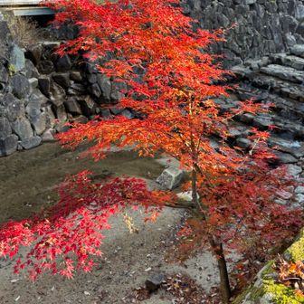 みくまり峡森林公園
管理センターあたり