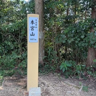 汗もかかず山頂