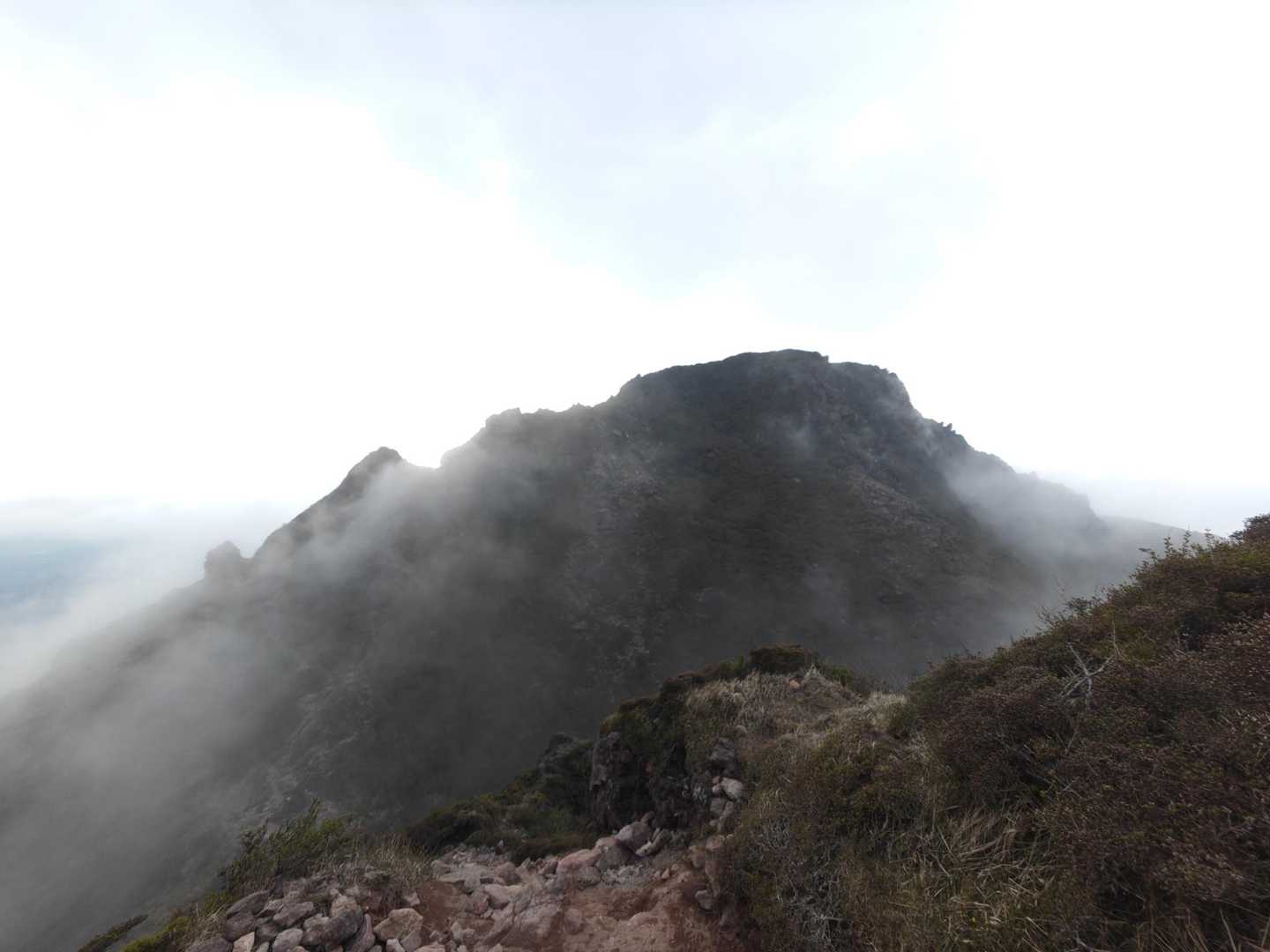 由布登山口バス停-由布岳正面登山口-由布岳 往復コースの写真