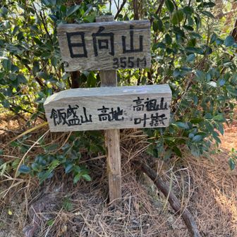 通りすがりに📷