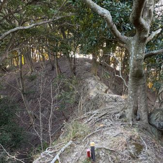 脇が崖になっている痩せた道もありました。
スイセンピークがどこかよくわからず…