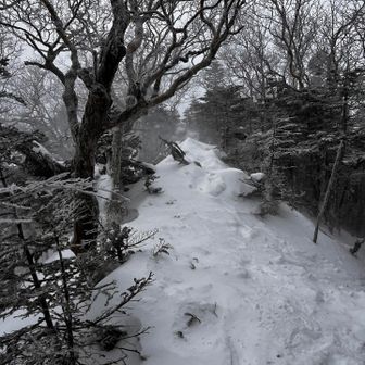 捜索しながら昨日パッキングしたツルネ頂上付近まで来ましたが、アックスは見つかりませんでした。😭
でもないはずはない！！諦めずによく探しながら降ります。急に天気が荒れて、汗が冷えて辛いです。😣