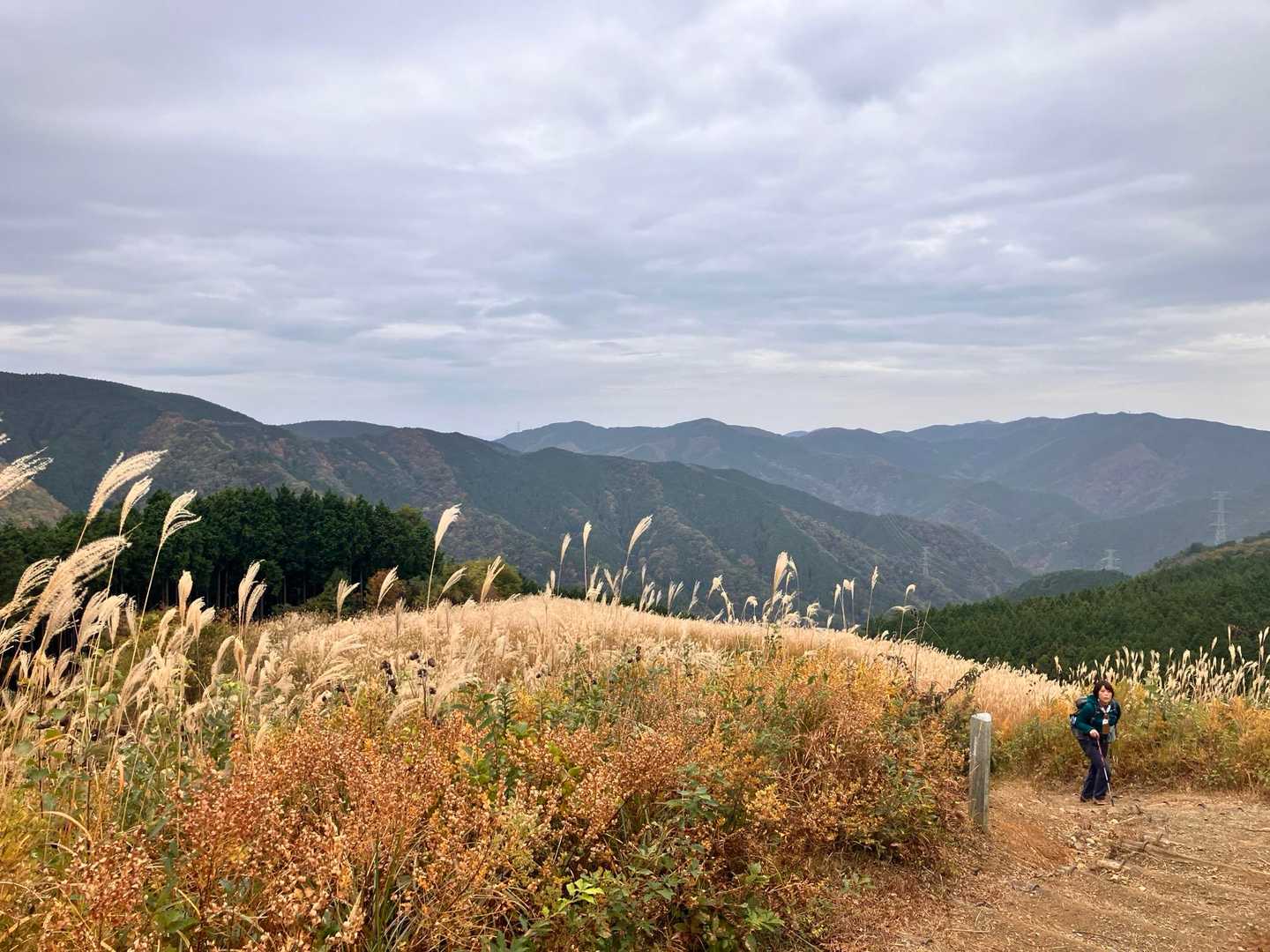 季節の変わり目に、ダイヤモンドトレールで岩湧山への写真