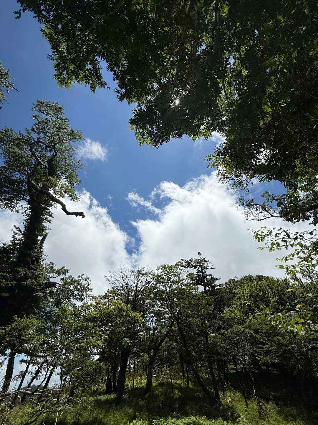 ガス多めだけど脊梁ブルー🩵