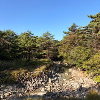 まだ早いから白鳥山へ