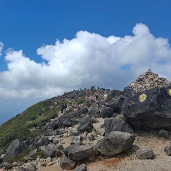 山頂は賑やか