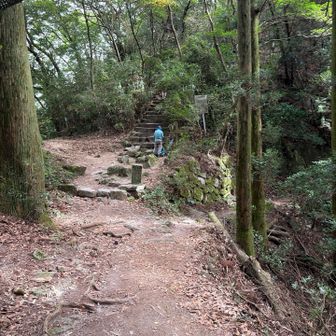 しかしまた階段