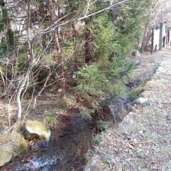 きれいな水と一緒に