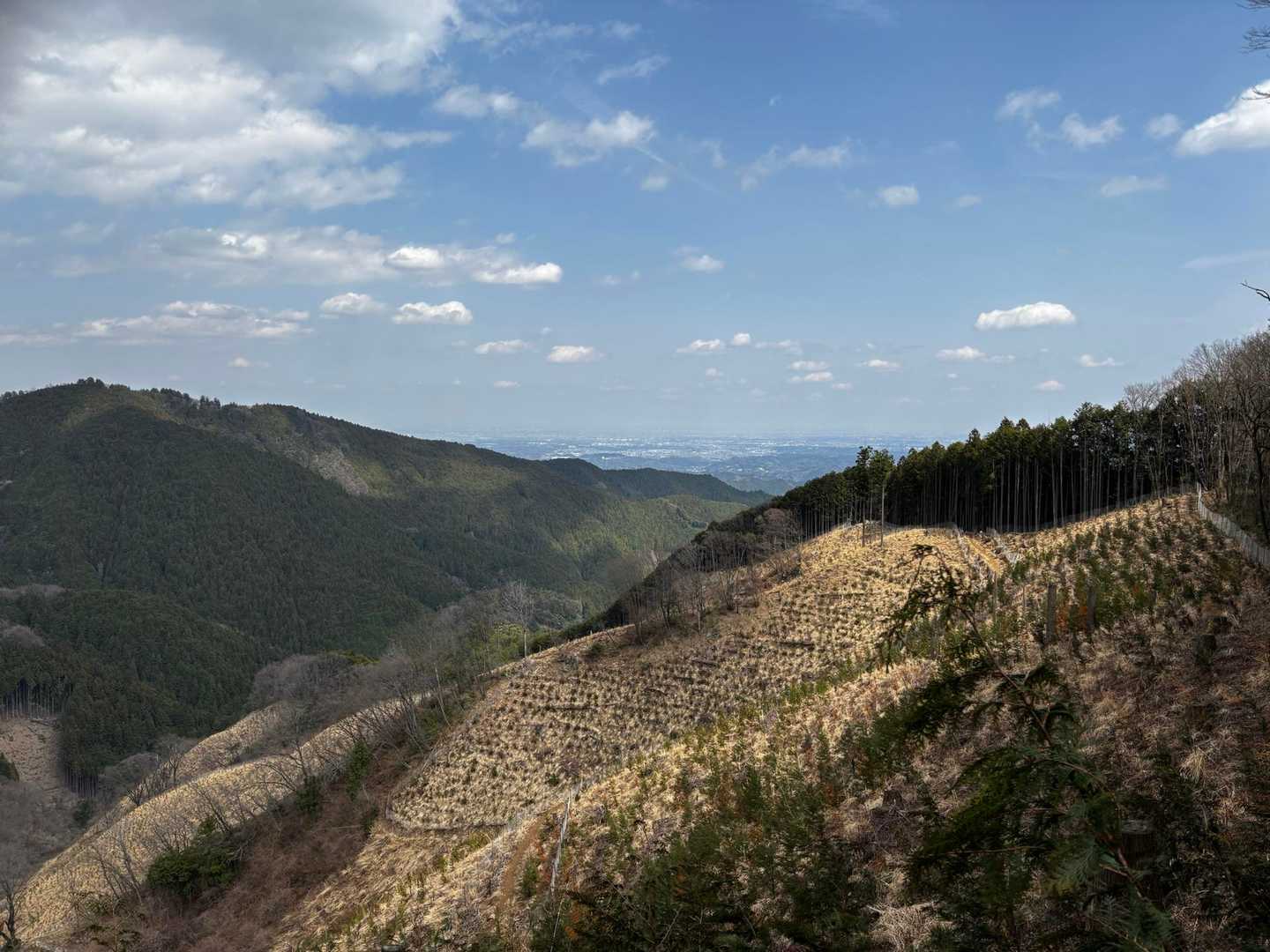 さわらびの湯バス停〜御嶽駅｜棒ノ嶺・岩茸石山・惣岳山縦走コースの写真
