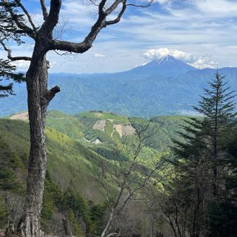 この山頂も富士山スポット完備。良きコントラスト。