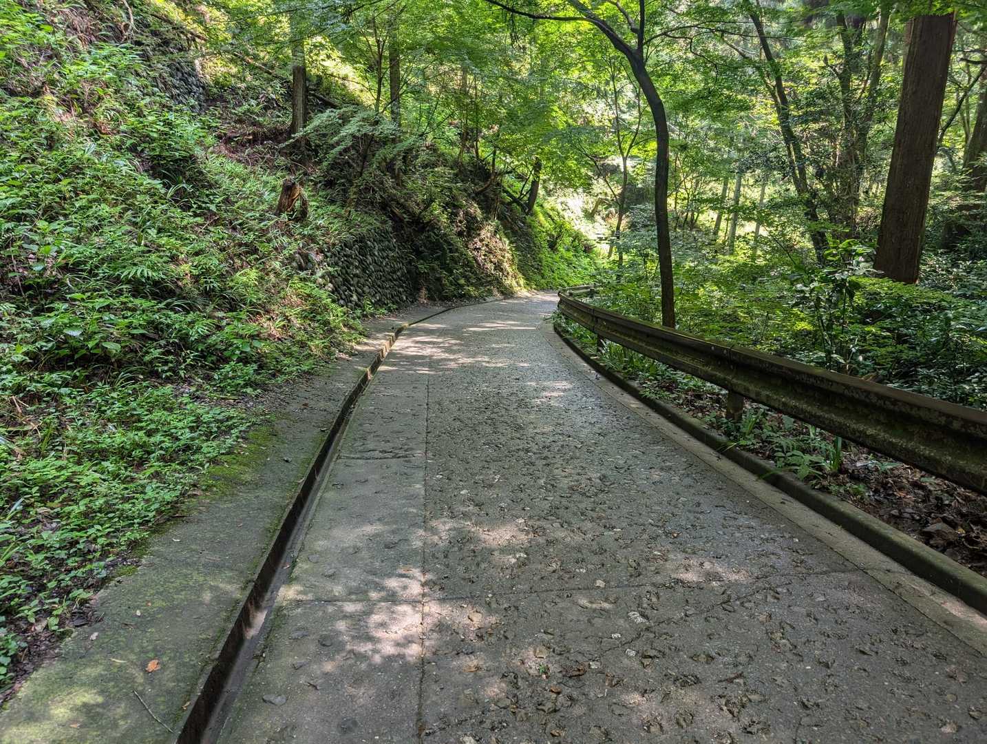 １号路は舗装されているけどきつい坂が多かったです。６号路で登ったほうが楽だと思います。