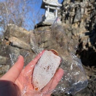 大月で買った枯露柿（ころがき）歯応えある！