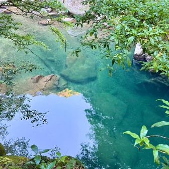 エメラルドグリーン🟢