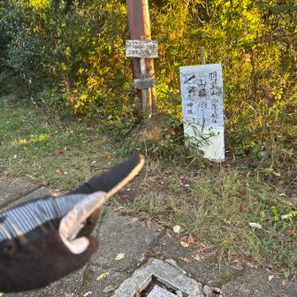一つ
