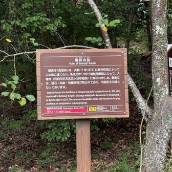 今日は、誰もいなかったので冒険
普段通らない登山道へ