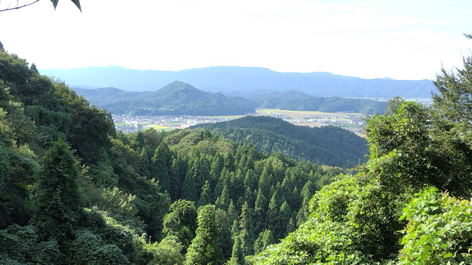 途中視界が開ける所。心地よい。
