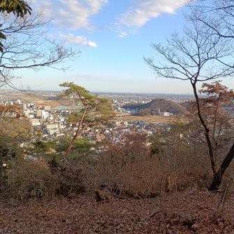 まんなかのが足利市駅前の浅間山と富士山