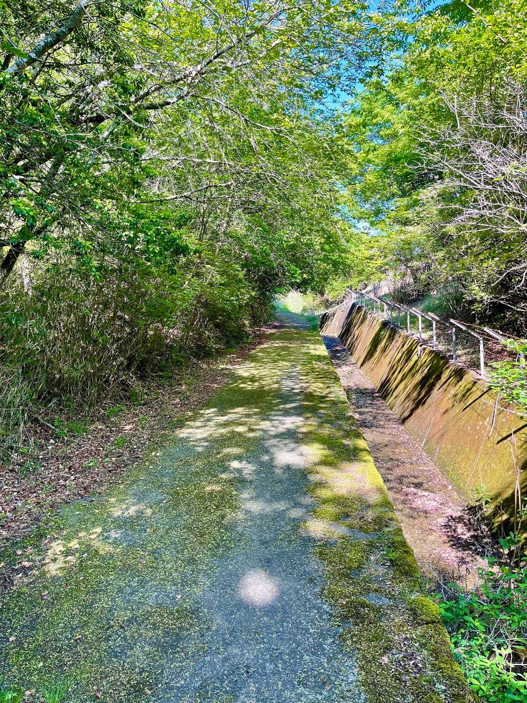 南郷バス停-立木山-袴腰山-袴腰山登り口 縦走コースの写真