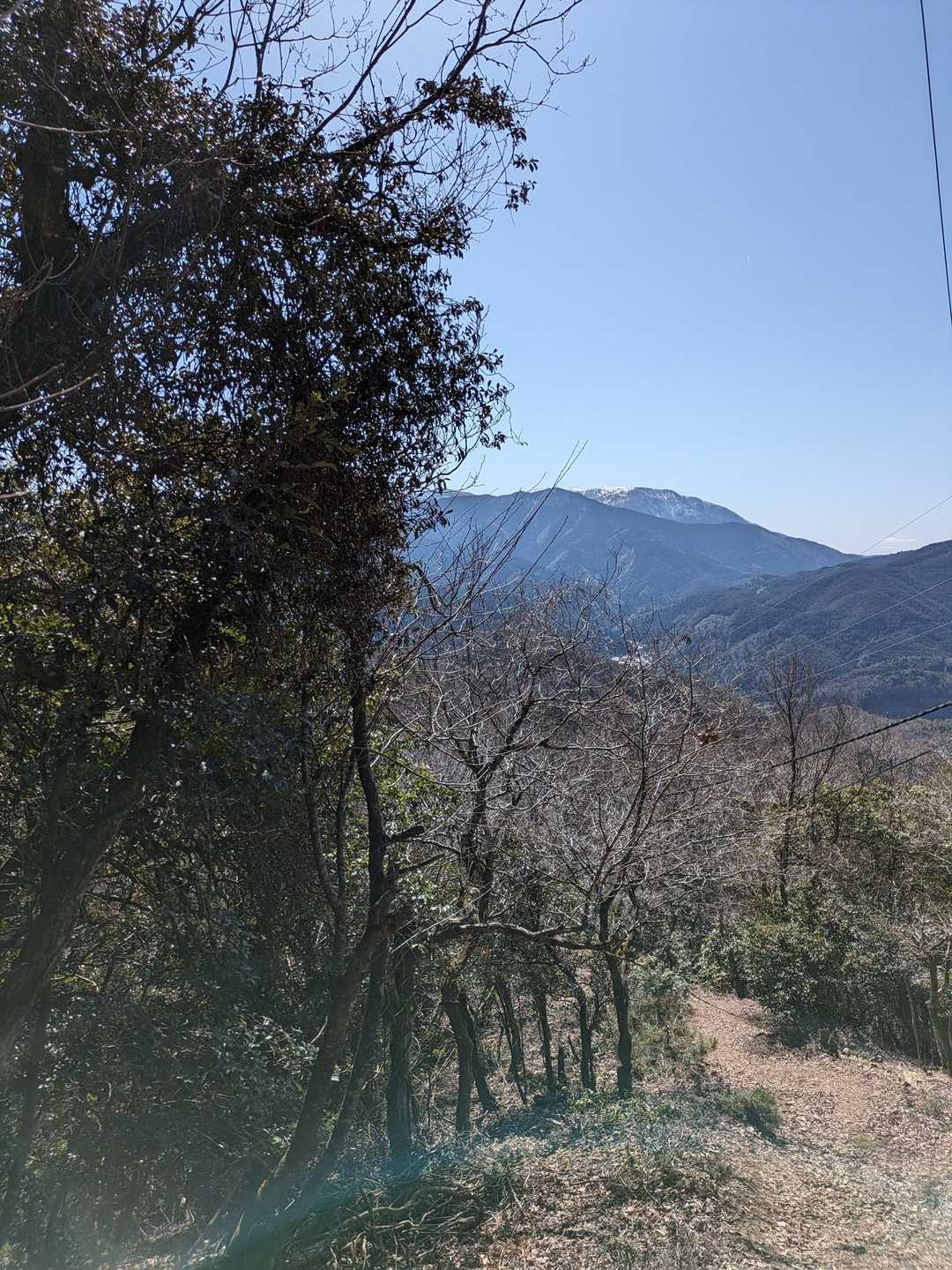 来た道を戻ります🚶
〜さよなら、清滝山👋ﾊﾞｲﾊﾞｲ