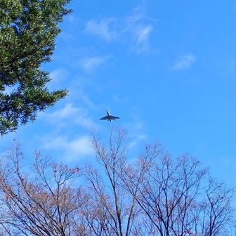 自衛隊の飛行機✈️