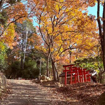 しばらくは急勾配が続きます。
