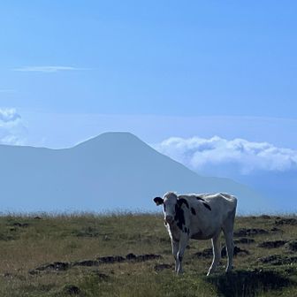蓼科山