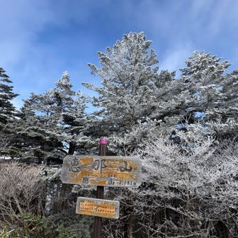 この時間帯なら樹氷キレイ😊
帰り道ではだいぶ溶けてました