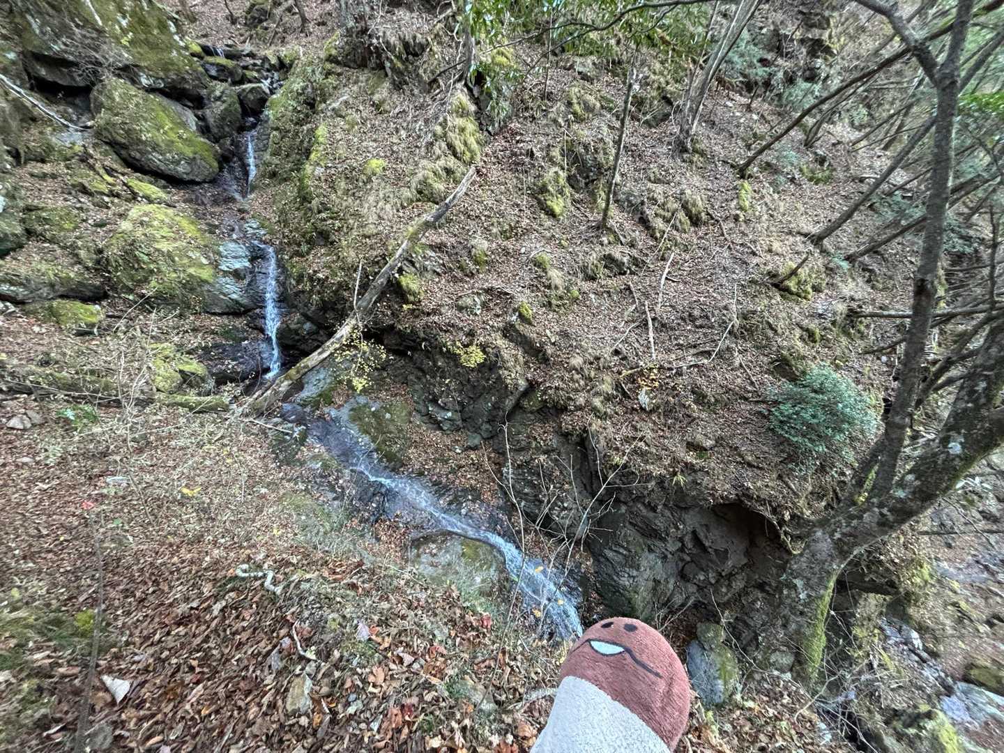 倉門山-天丸山-帳付山 周回コースの写真