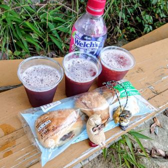ここで、半氷のWelch'sとチョコデニッシュ😋💕