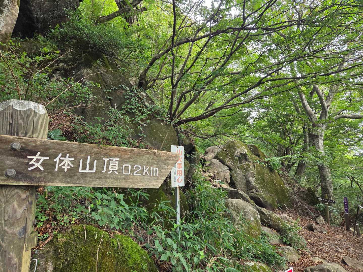ゼーゼーハーハーキツい
来なきゃ良かった...
といつも思うヘタレ
湿度が高く すでに滝汗🥵