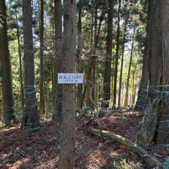 陣尾山
この頃はヘロヘロでした🥴