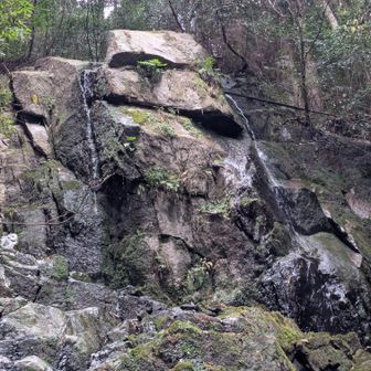 水ちょろちょろ💧
今年は凍るかな〜😄