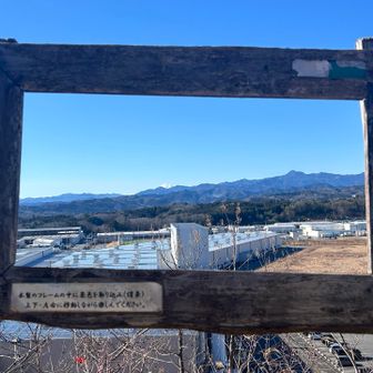 展望台の借景フレーム
富士山🗻はしっかり捉えてるけど、工場からは逃れられない😅