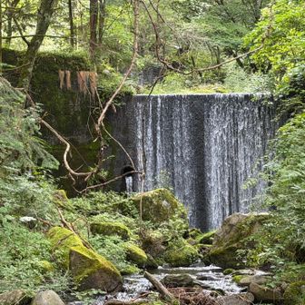 涼しげ🏞️