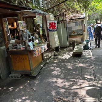 高座の滝横の茶屋　🍧食べたいけどまだ芦屋川までアスファルトやし汗だくなるし💦