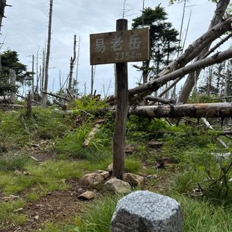 易老岳も足早に通り過ぎ