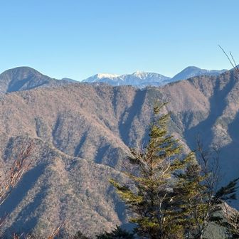 ひときわ白い聖、上河内