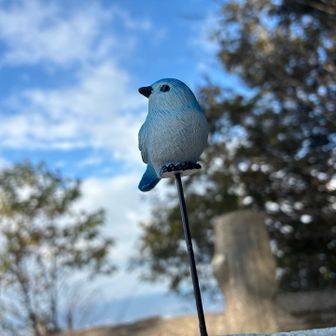 三角点の杭に誰が置いたか幸せの青い鳥🐦