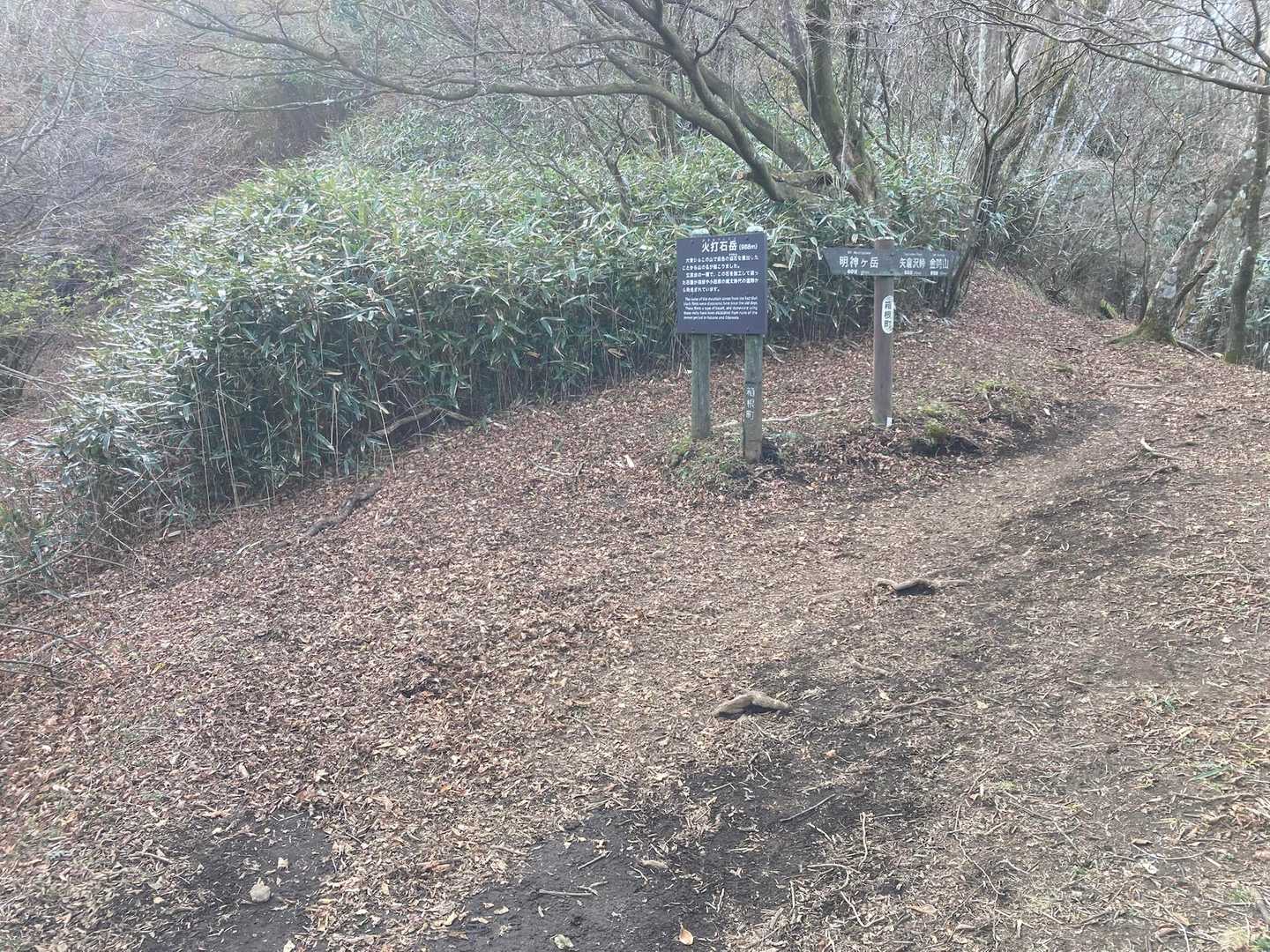 帰りはここから通常のコースで帰ります。