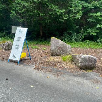 駐車禁止の看板の横です