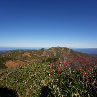 タモギ小屋と朳差岳