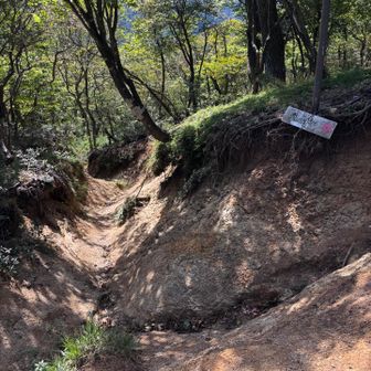 水晶岳への分岐