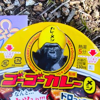 カレーメシ〜スパイシー😋
🦍だから強くなりそうです。そして🦍は🐻に勝てるはず😁