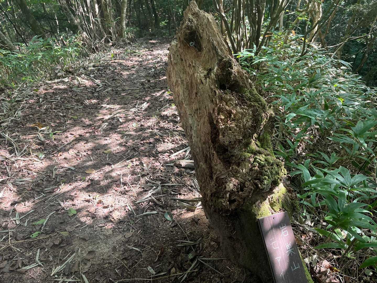 モアイの面影はいずこ…。