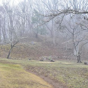 山頂へ向かいます