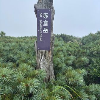 なんも見えないその3