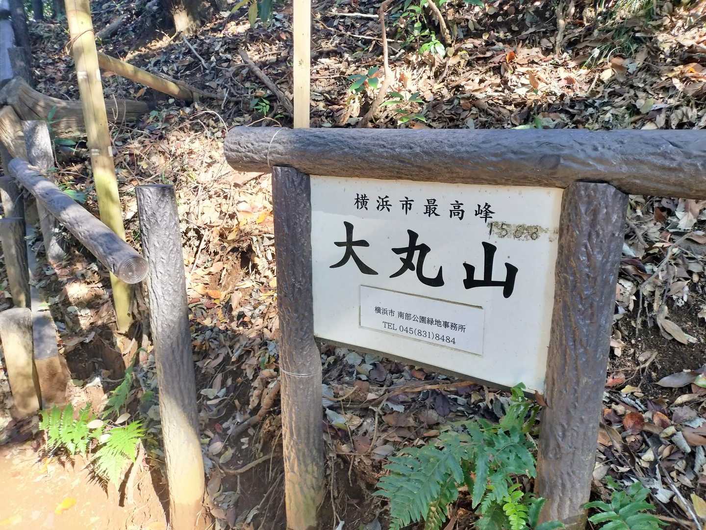 横浜市最高峰なんだって