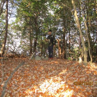 てんこ山登頂
今回のルートで唯一の山頂
これがあるので山越えと言えますが、これが無ければ単なる峠越え、かな？