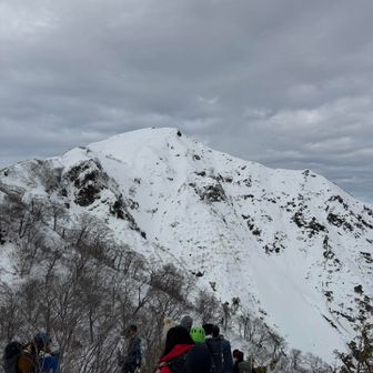 もうオキの耳は見えない